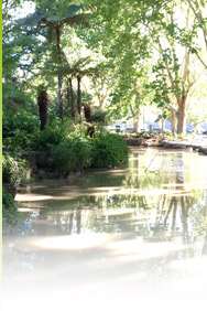 Pond - Queen Victoria Gardens Pond, Melbourne, VIC